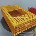 Cages de transport de volaille en plastique prix usine pour le poulet